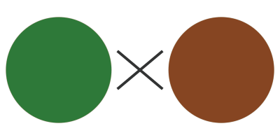 2. グリーンとブラウン